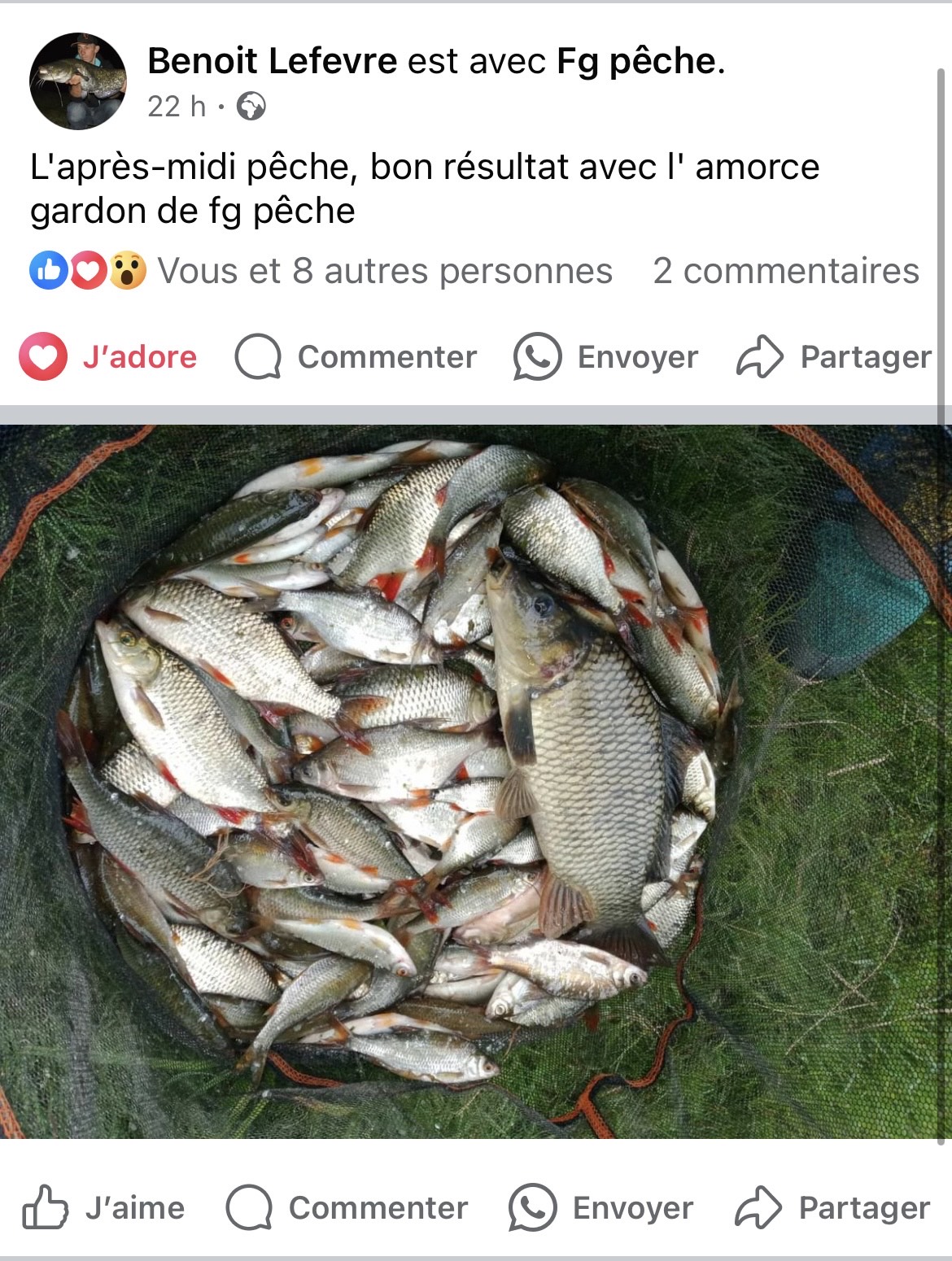 superbe pêche d'un de nos client Amorce gardon étang peu profond